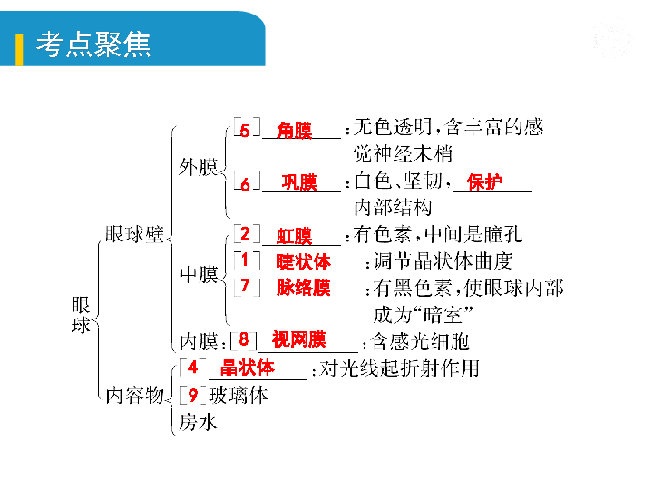 圈中的人口_字母圈中k9训练的姿势(2)