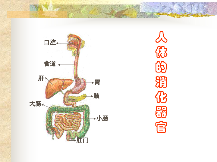 ca6382d9f16065e0587646975487638f.png