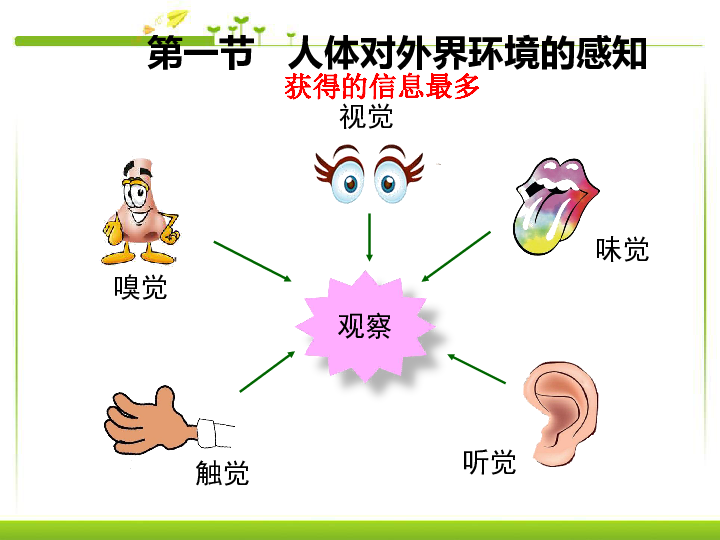 魯科版(五四制)七年級下冊第四單元第六章第一節 人體對外界環境的