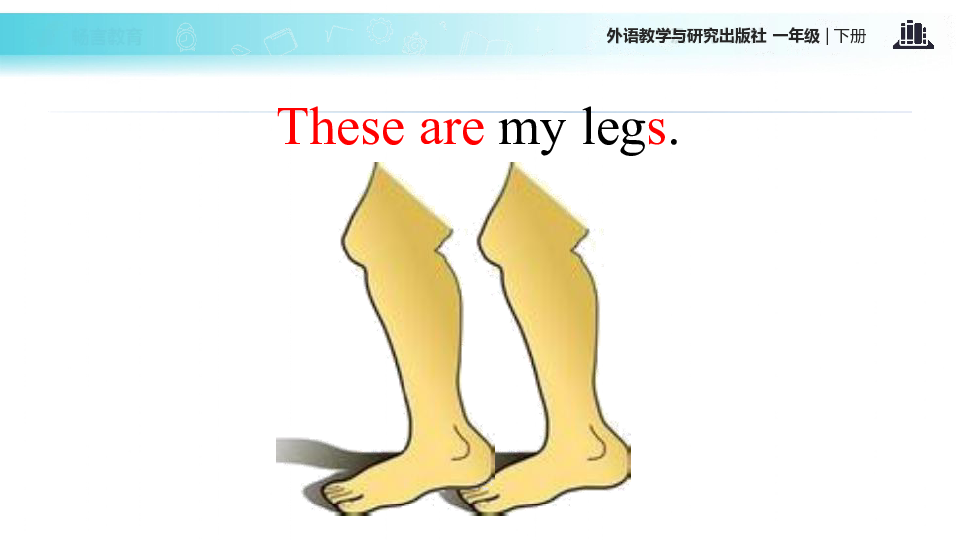 legs简笔画图片