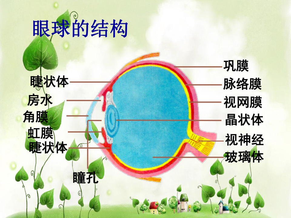 湖北省荊州市沙市第五中學七年級生物人教版下冊第四單元第六章第.