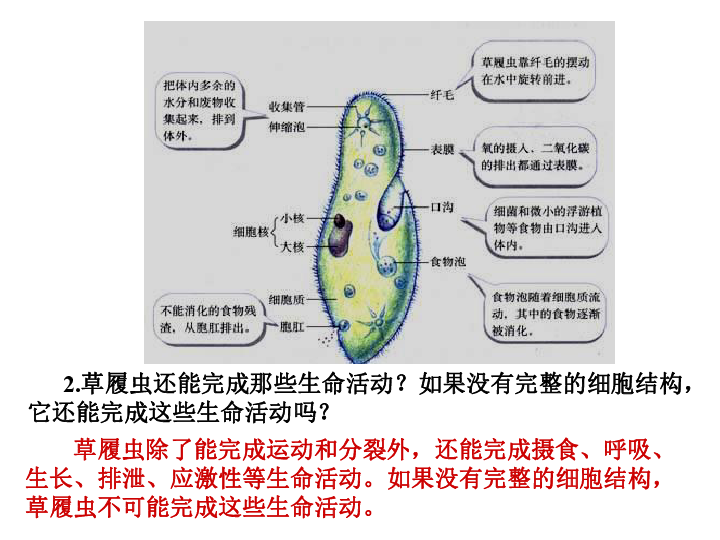 人教版生物必修一 第一章第一节 从生物圈到细胞 (共14张ppt)