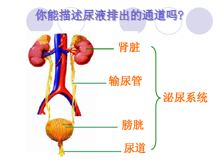e182682649b44ea2902e1804d282fc6f.png