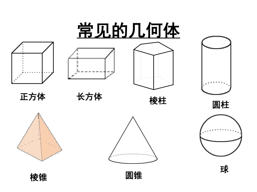 华师大版数学七年级上册41生活中的立体图形课件共31张ppt