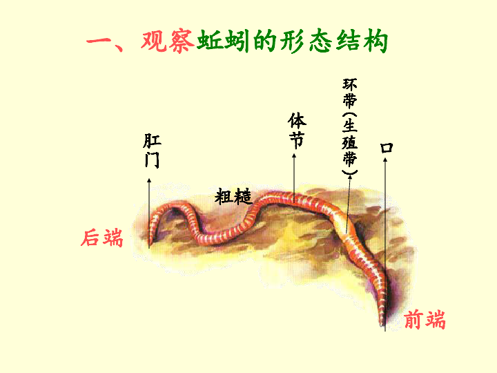 e6bc245e84bcf2878c4191319e2c1e80.png
