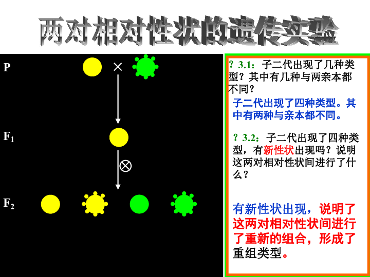 群星人口杂交_杂交水稻