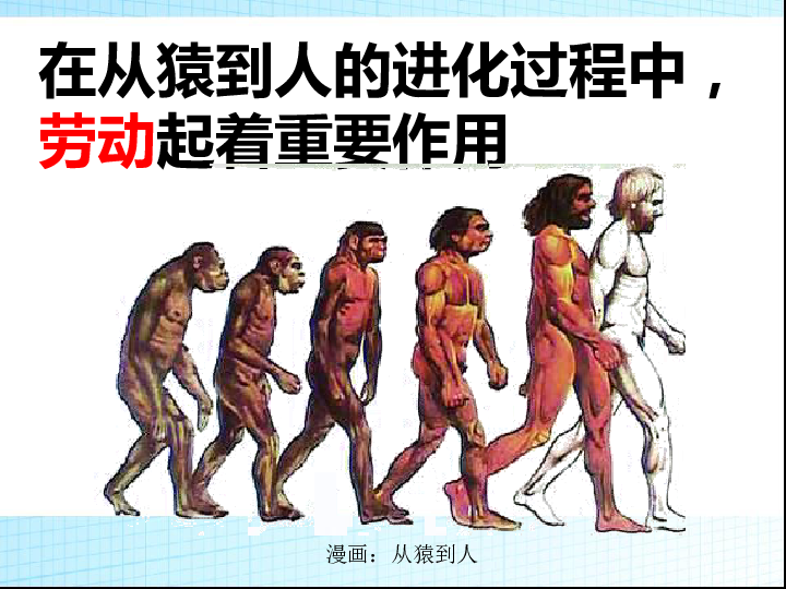 古人类进化过程图片