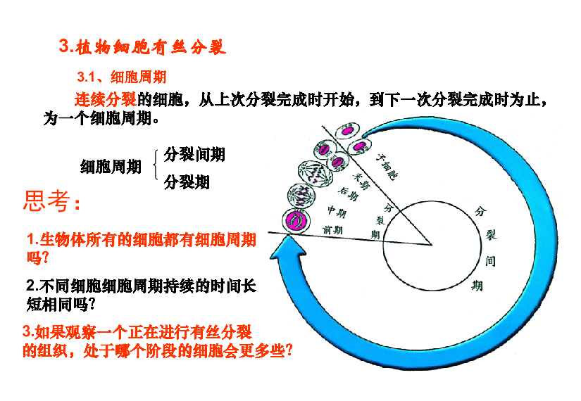 细胞增殖图解图片