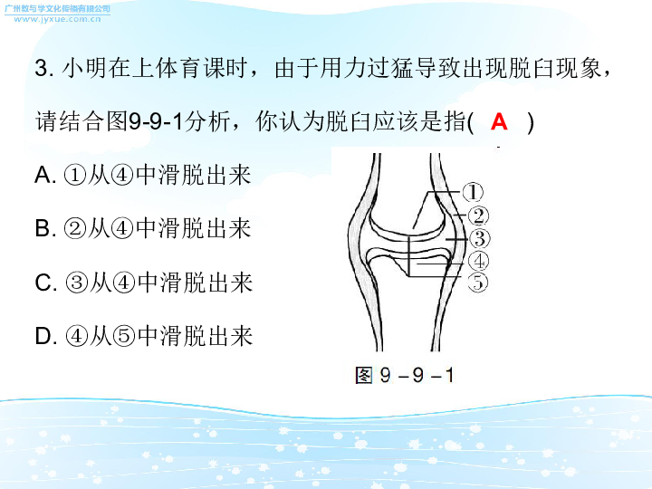 人口增长对动物好处_高一地理人口增长导图(3)