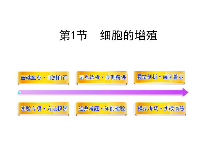 人口增殖下载_细胞的增殖思维导图