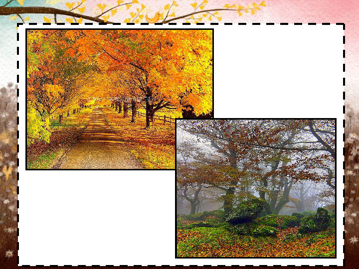 f60a959a5b21c6598947e3393c4aaa41.png