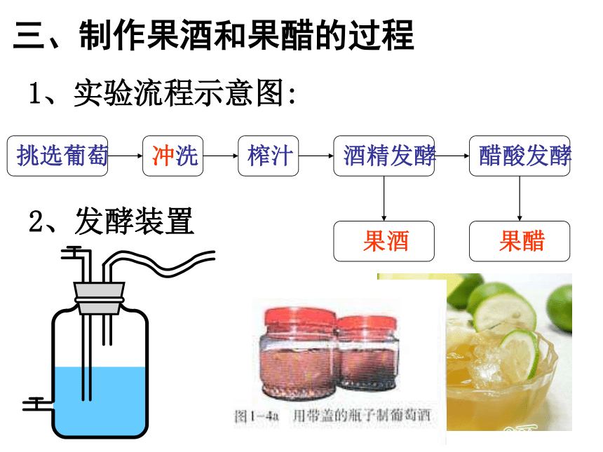 高三生物《专题一 果酒和果醋的制作》课件