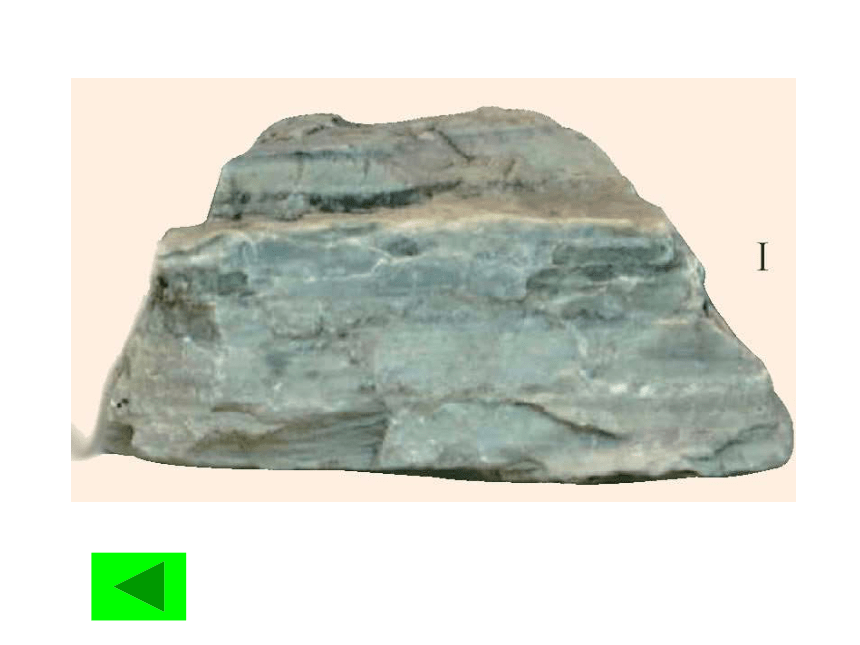 3.3组成地壳的岩石